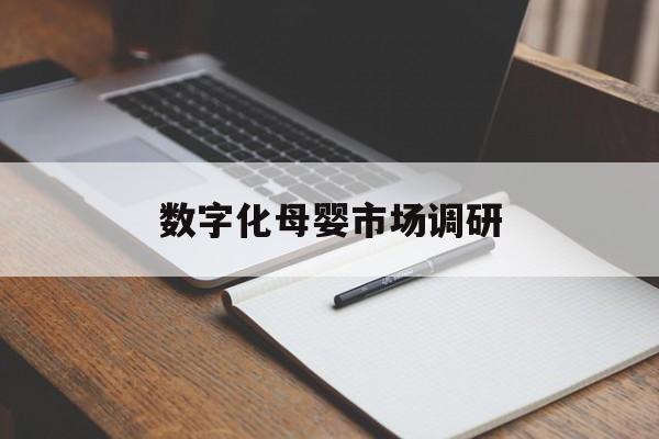 商丘市数字化母婴市场调研(数字化母婴市场调研报告)